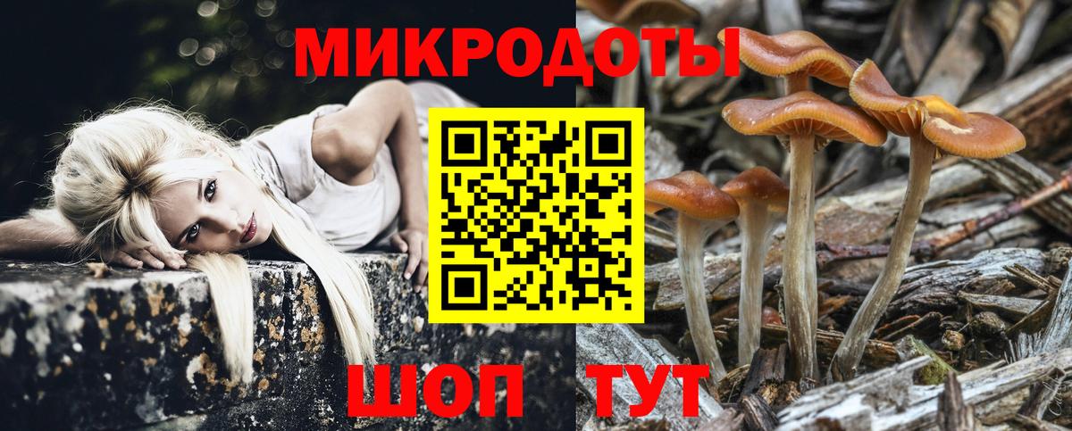Псилоцибиновые грибы Psilocybine cubensis Алексеевка